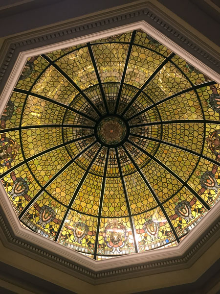 the ceiling at Daniel Stowe Botanical Garden